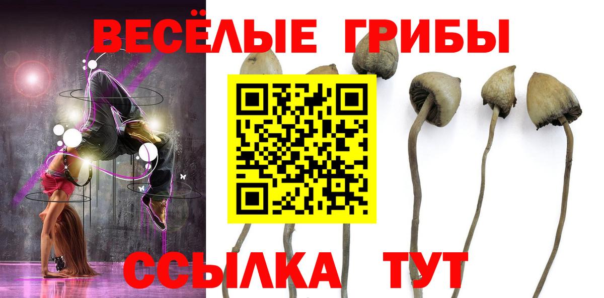 Белогорск  Галлюциногенные грибы прущие грибы  Вход с VPN 
